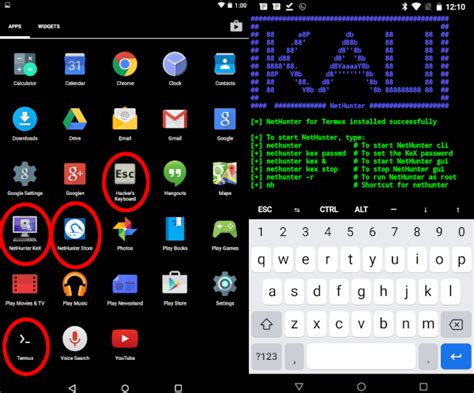 Android client to access the Kali <b>NetHunter</b> App Store. . Nethunter kex rootless